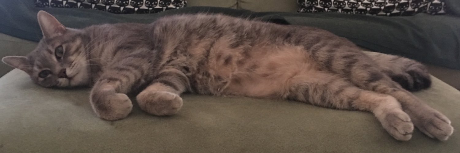 giuliocatte's profile banner image