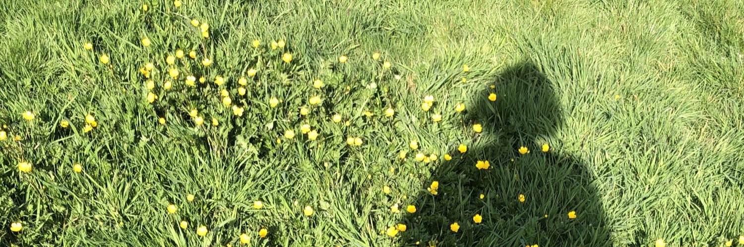 catharinebee's profile banner image