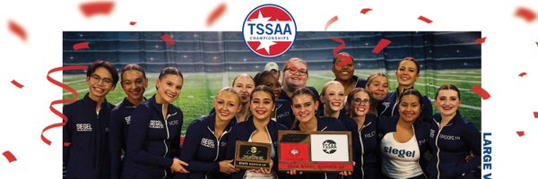 SiegelHighDance Profile Banner