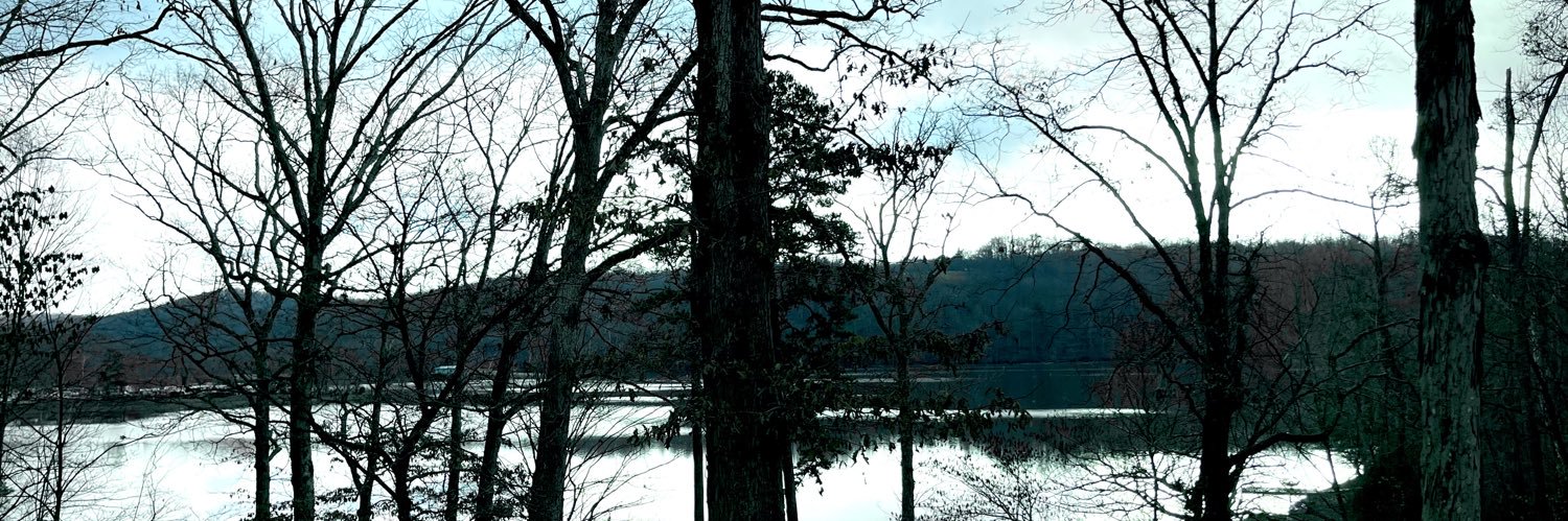 carolina ❀ banner