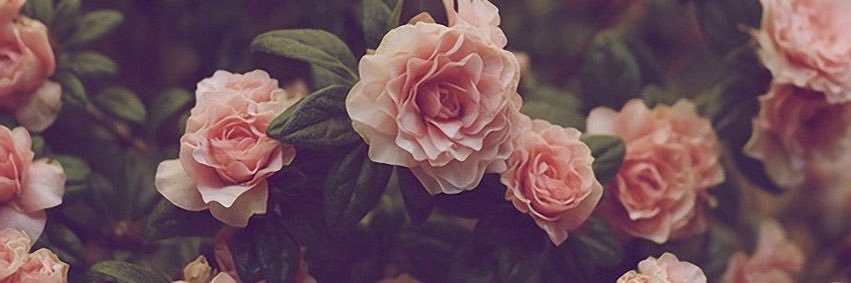 UAintRedD's profile banner image