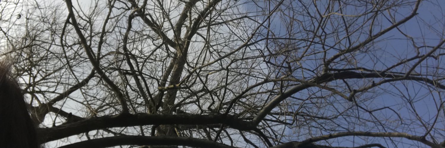 soulalignment1's profile banner image