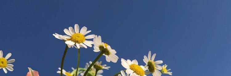 KatherineGamez's profile banner image