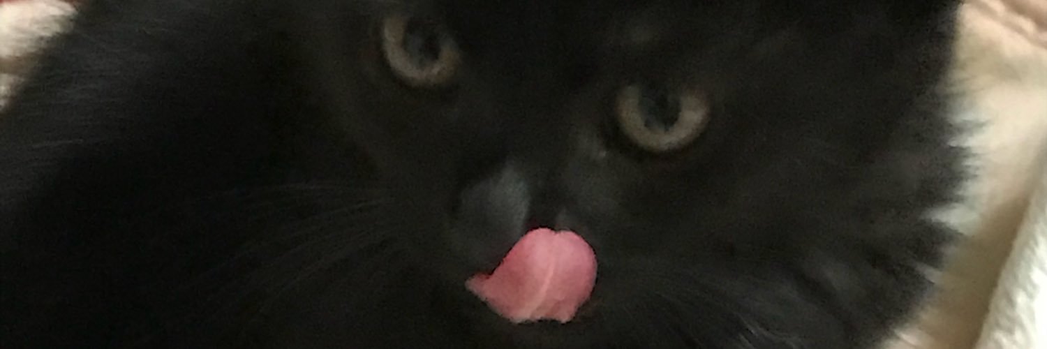 stilyyyy's profile banner image