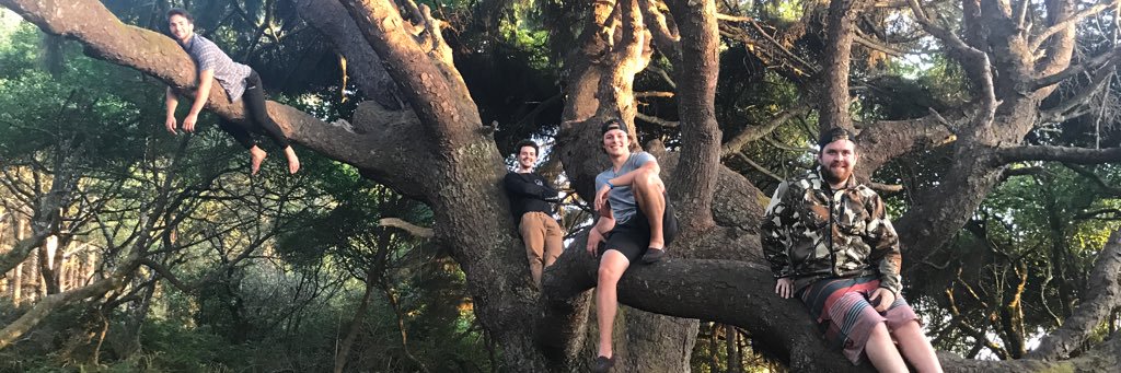 LainTyler's profile banner image