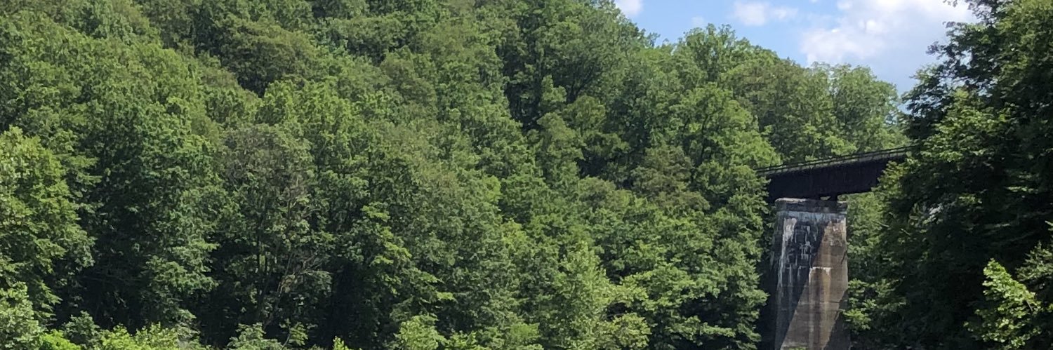 tomjcosta's profile banner image