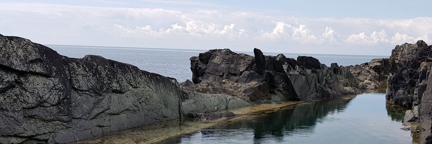 Andrea Pacheco 🇨🇴 banner