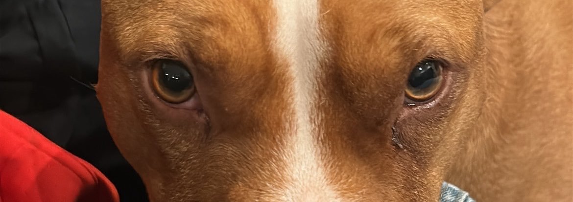 MaxiMoyano3's profile banner image