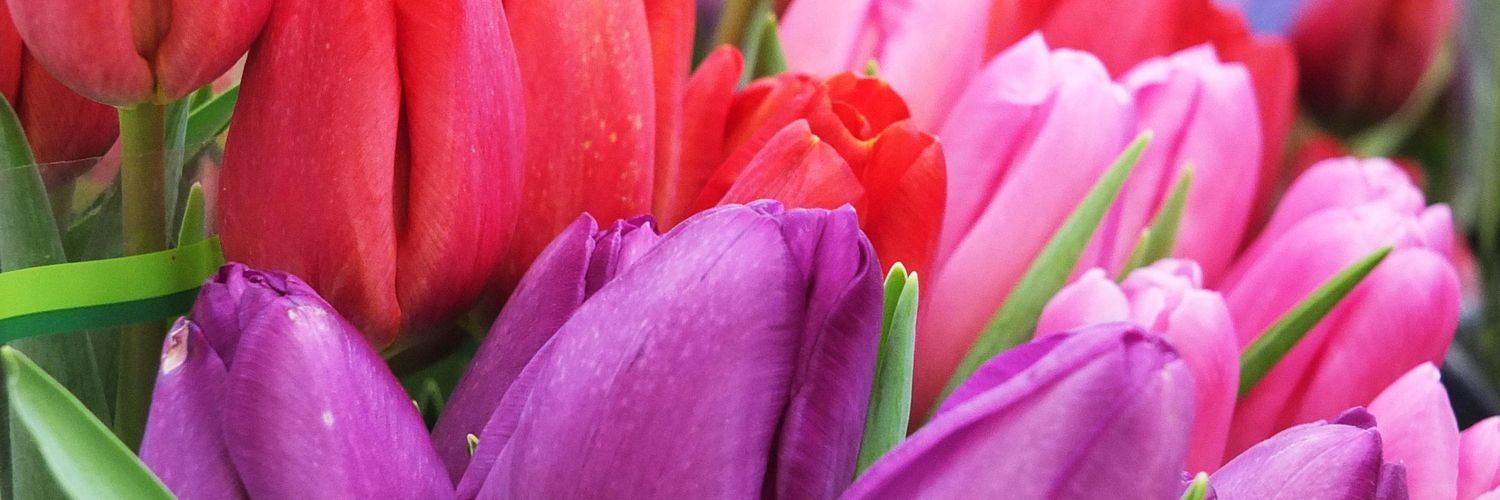 Emma41129628's profile banner image