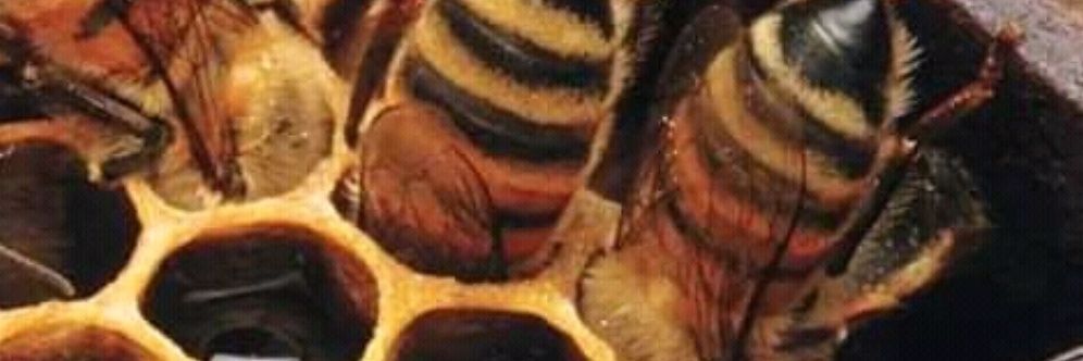 Terry21014028's profile banner image