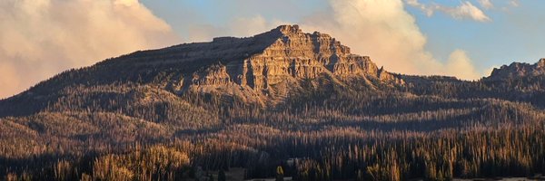 HansenWJason Profile Banner