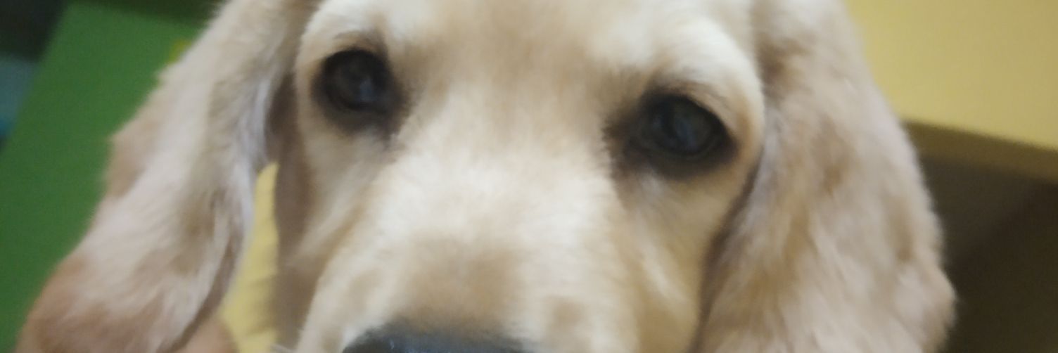 RR banner