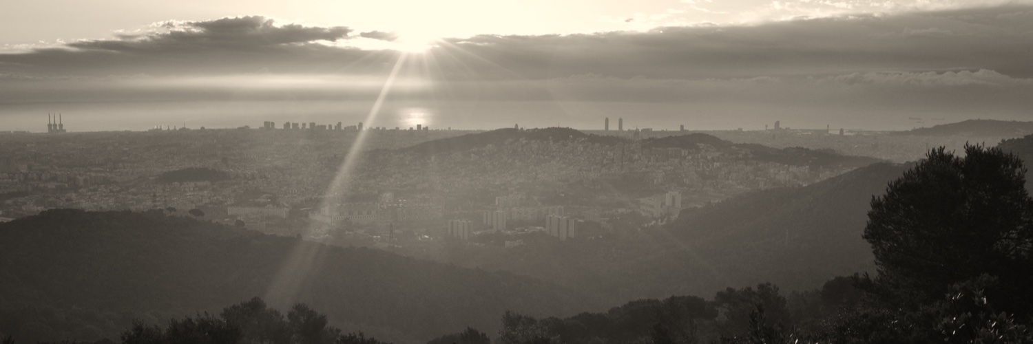 Max Stammnitz @maxstammnitz.bsky.social banner