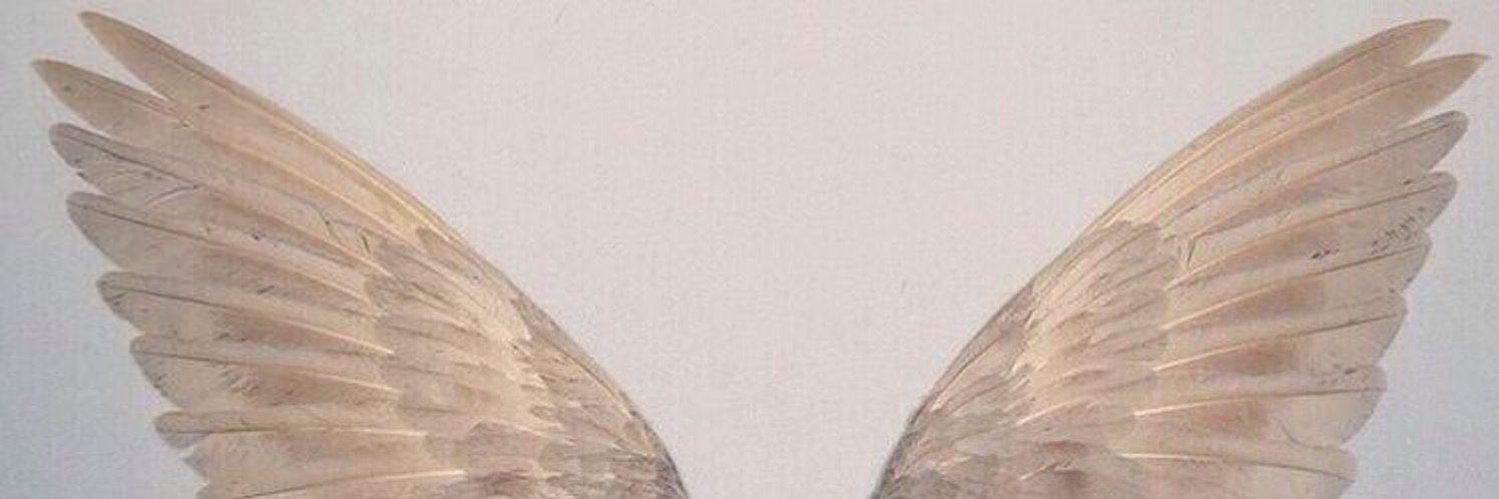 RenadNemo's profile banner image