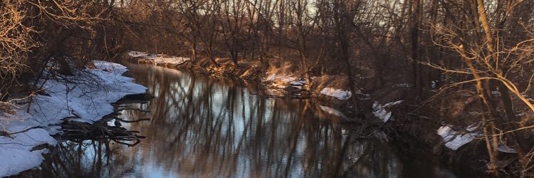 WilliamFink97's profile banner image