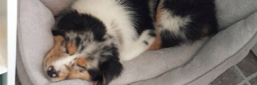 Griff_Sam's profile banner image