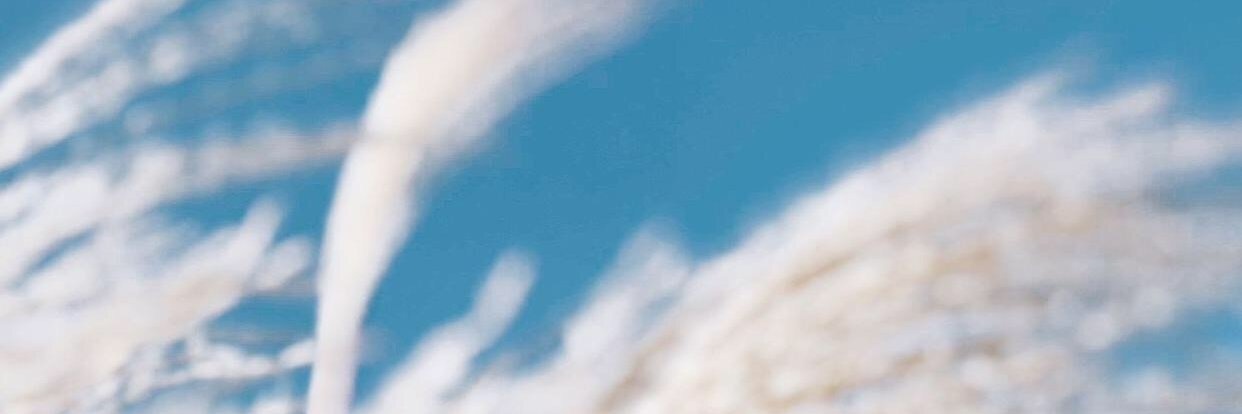 fakebn banner