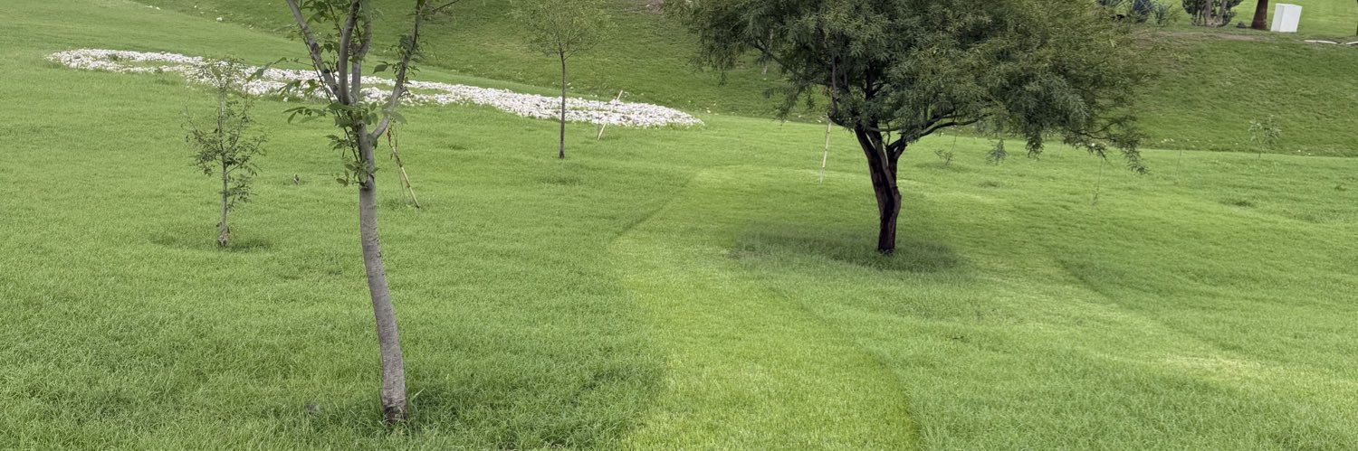 FernandaTrejo's profile banner image