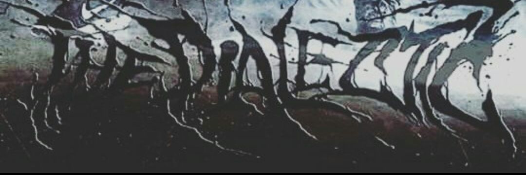 TDialecticTx's profile banner image