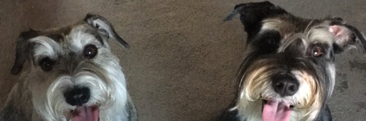 nessa_m66's profile banner image