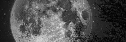 pamrojasm's profile banner image