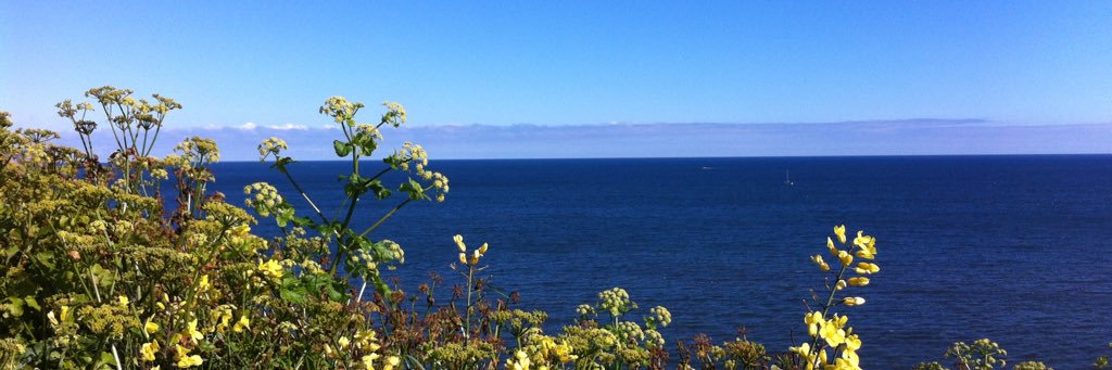 wunday59's profile banner image