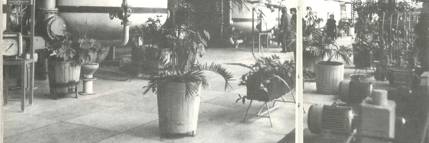 himbofication 🇵🇸 banner