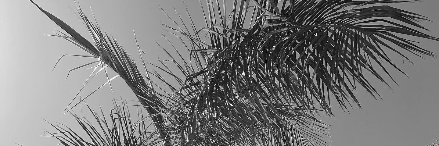 degrzce's profile banner image