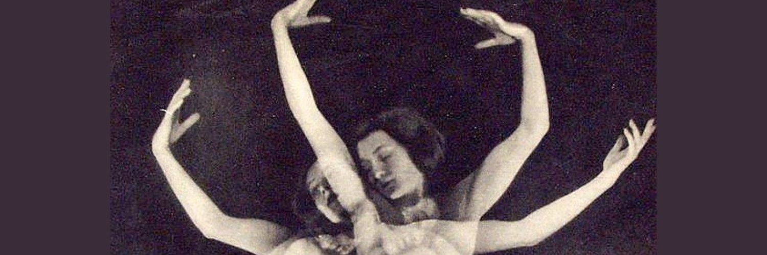 The Diarist banner