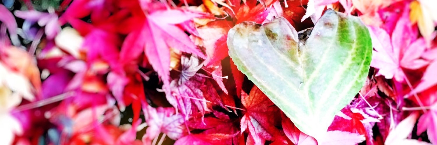 dochan574's profile banner image