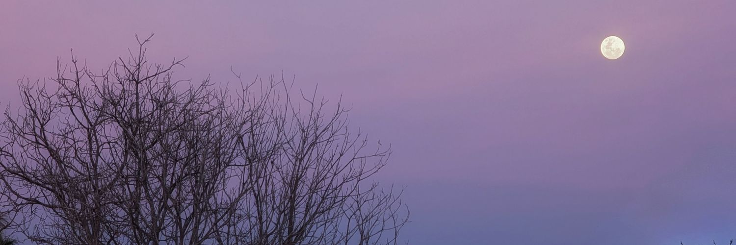 Nashwa Saeed banner