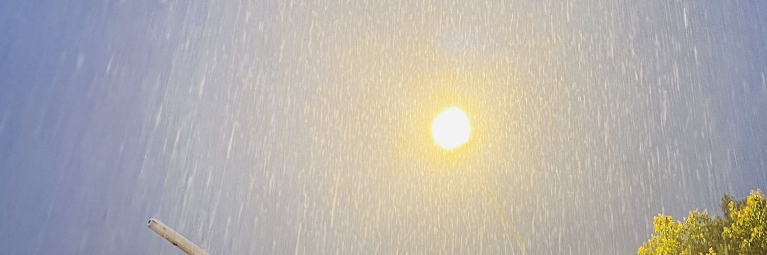 导员·Null banner