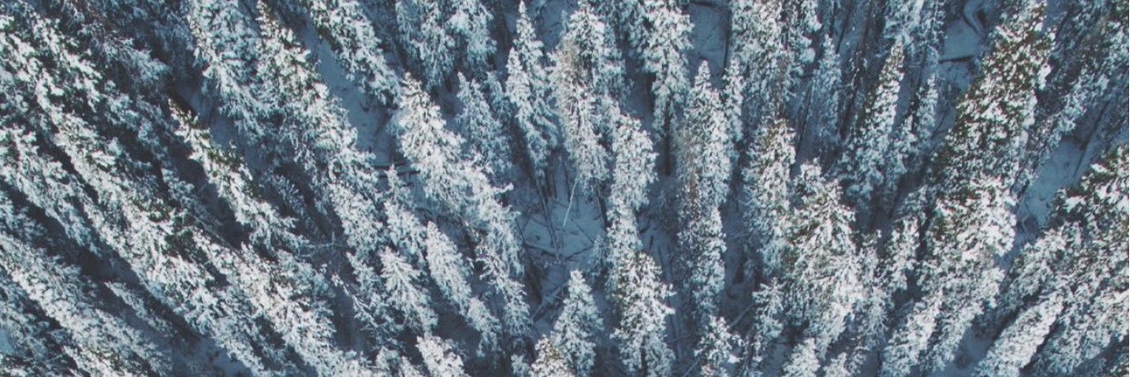jpmozza13's profile banner image