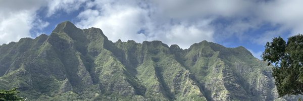 TradeTracer Profile Banner