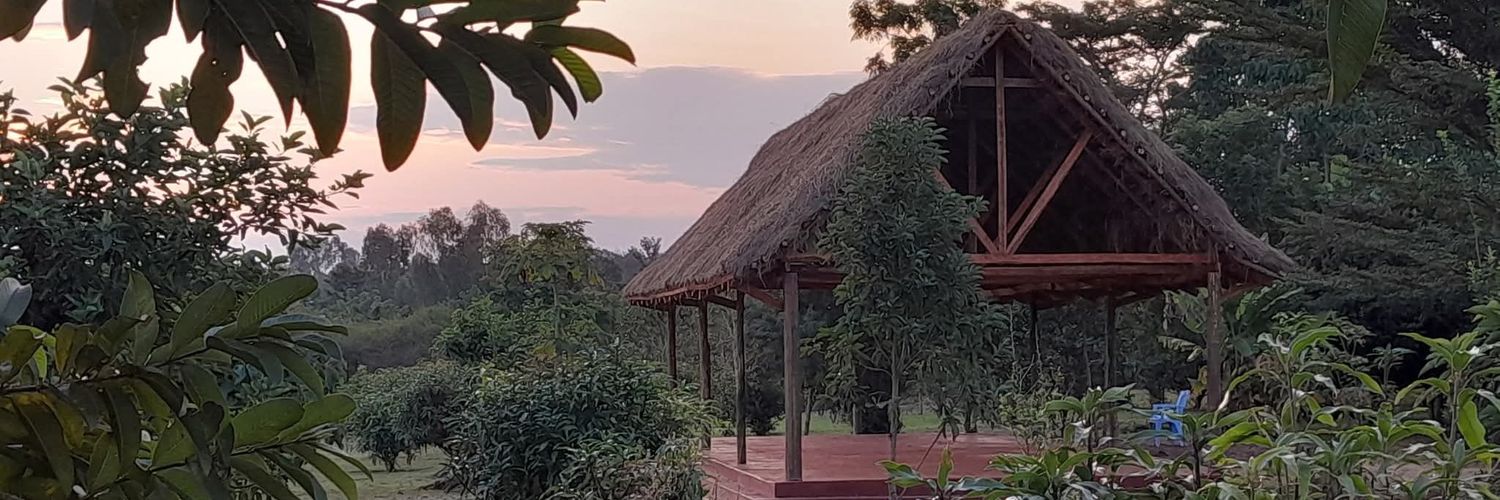 Prof. Alfred Omenya banner