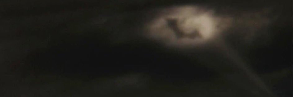bloodlessbat's profile banner image