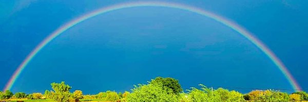 MAMTA8980 Profile Banner