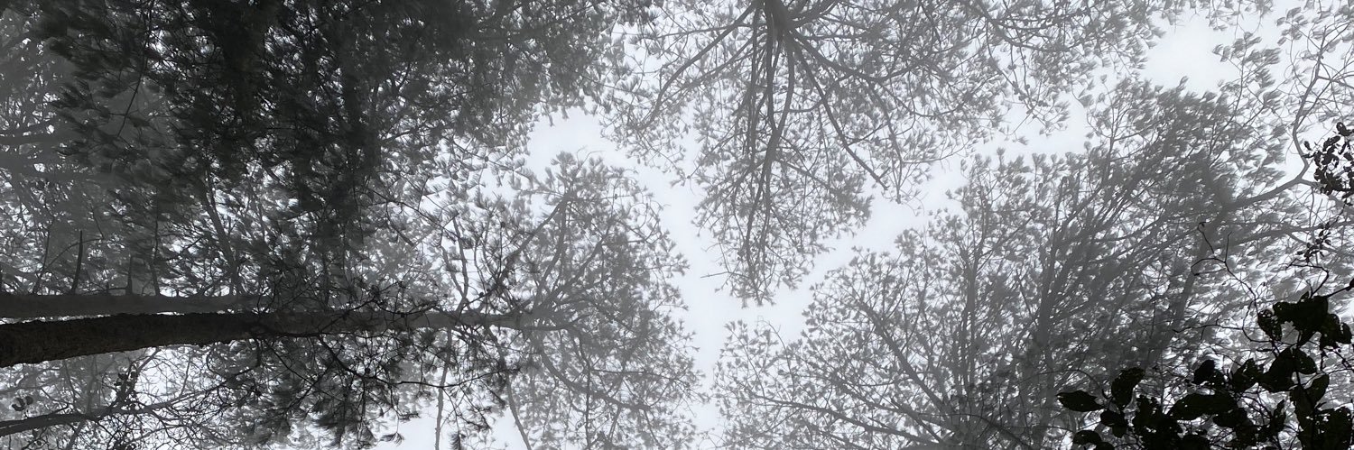YepezAlexis's profile banner image