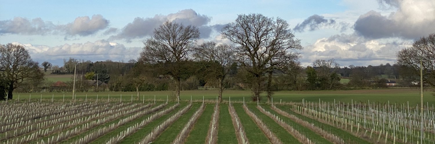 Chet Valley Vineyard banner