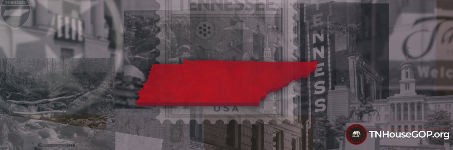 TN House Republicans's banner