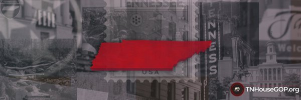 tnhousegop Profile Banner