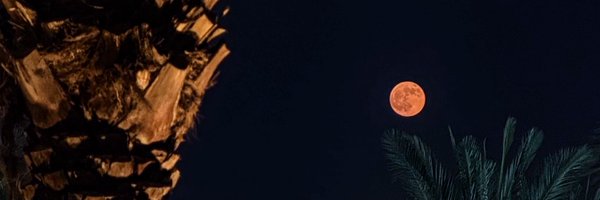 Ryn1y_ Profile Banner