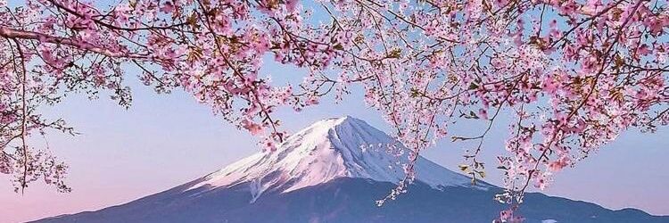 SamiraG25656271's profile banner image