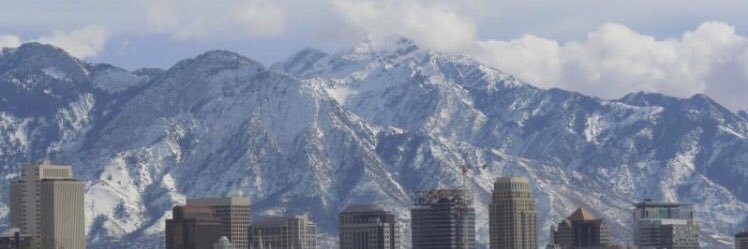 Carma Simkins banner