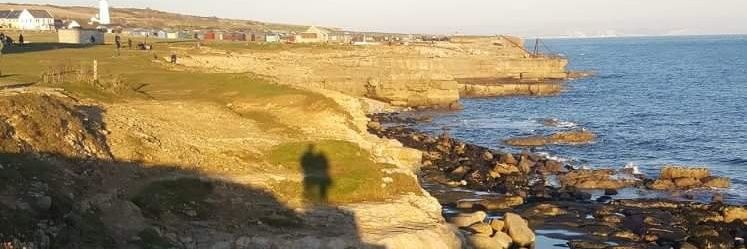 Seaohban's profile banner image
