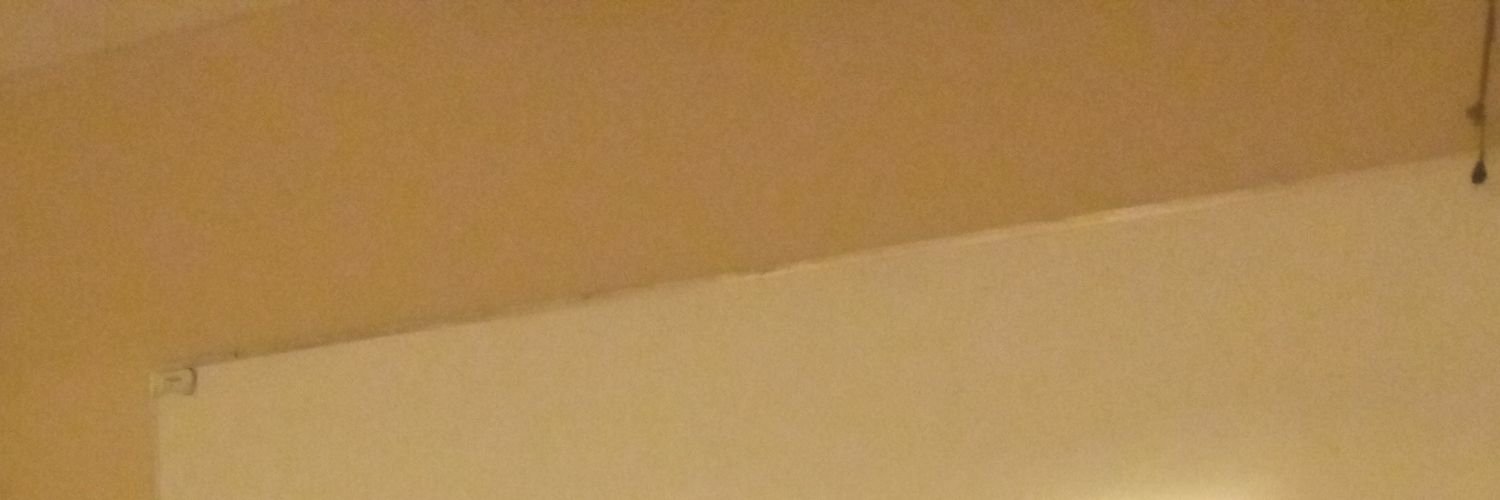 twirer123's profile banner image