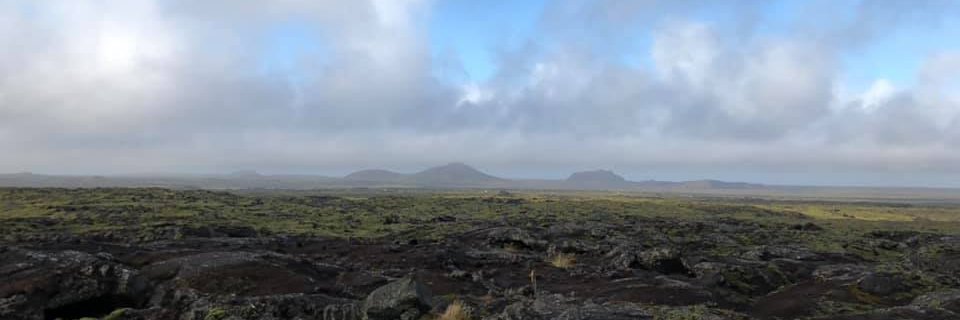 Michelle Edwards banner