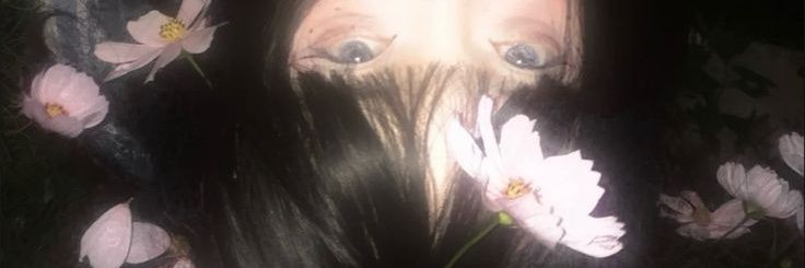 ale banner