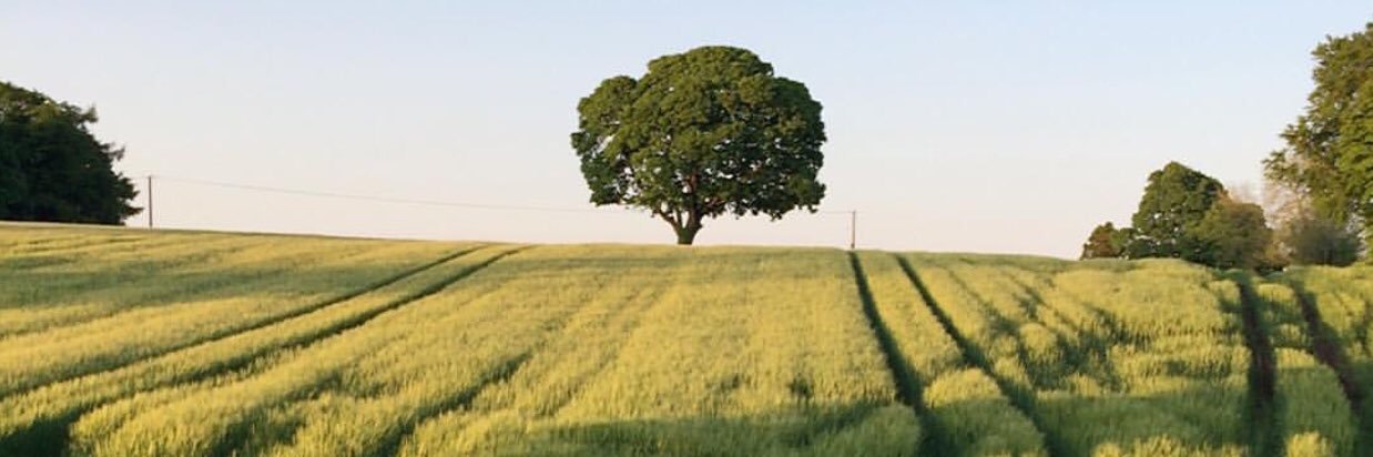 CareyKerrry's profile banner image