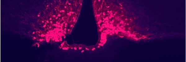AmberAlhadeff Profile Banner